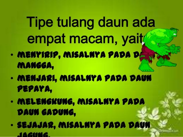 Struktur Jaringan dan Fungsi Daun Struktur Jaringan dan Fungsi Daun