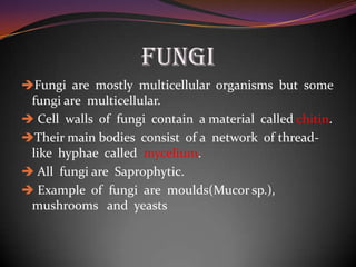 FUNGI
Fungi are mostly multicellular organisms but some
fungi are multicellular.
Cell walls of fungi contain a material called chitin.
Their main bodies consist of a network of thread-
like hyphae called mycelium.
All fungi are Saprophytic.
Example of fungi are moulds(Mucor sp.),
mushrooms and yeasts