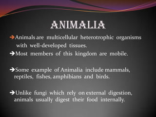 ANIMALIA
Animals are multicellular heterotrophic organisms
with well-developed tissues.
Most members of this kingdom are mobile.
Some example of Animalia include mammals,
reptiles, fishes, amphibians and birds.
Unlike fungi which rely on external digestion,
animals usually digest their food internally.