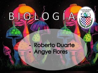 Biología - Hongos