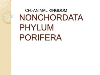 CH:-ANIMAL KINGDOM

NONCHORDATA
PHYLUM
PORIFERA

 