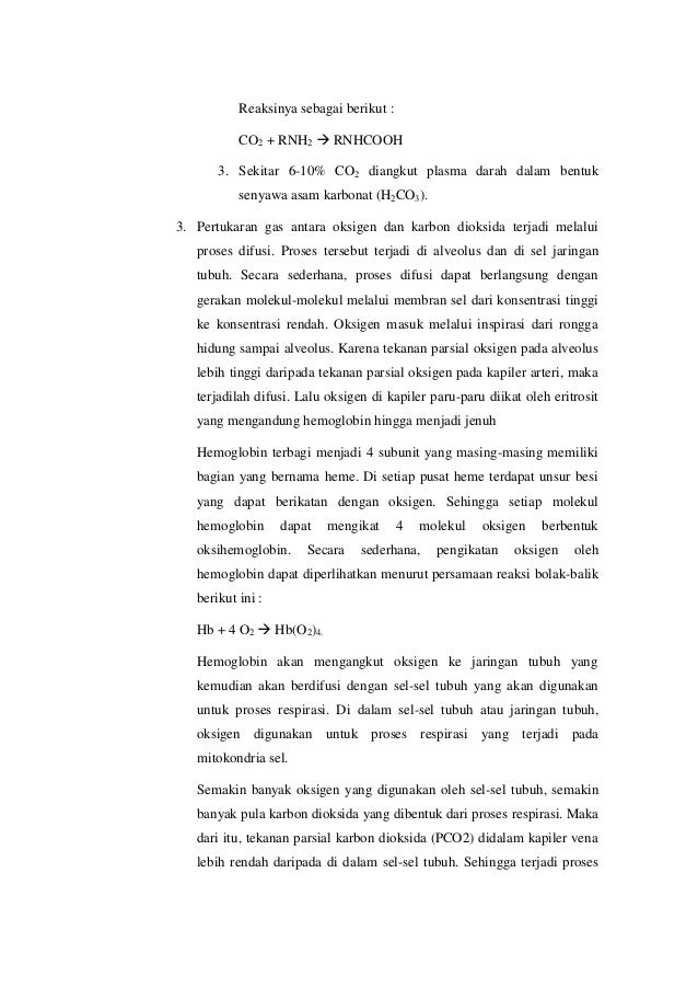 Sistem Pernapasan Manusia LKS