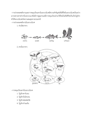 - กำรถ่ำยทอดพลังงำนและกำรหมุนเวียนสำรในระบบนิเวศมีควำมสำคัญต่อสิ่งมีชีวิตในระบบนิเวศเป็นอย่ำง
มำกเพรำะสำรต่ำงๆในระบบนเวศไม่มีกำรสูญหำยแต่มีกำรหมุนเวียนนำมำใช้ใหม่ในสิ่งมีชีวิตเป็นเป็นวัฏจักร
ทำให้ระบบนิเวศเกิดควำมสมดุลทำงธรรมชำติ
- กำรถ่ำยทอดพลังงำนในระบบนิเวศ
1. ห่วงโซ่อำหำร
2. สำยใยอำหำร
- กำรหมุนเวียนสำรในระบบนิเวศ
1. วัฏจักรคำร์บอน
2. วัฏจักรไนโตรเจน
3. วัฏจักรฟอสฟอรัส
4. วัฏจักรกำมะถัน
 