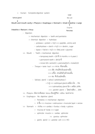 Enzyme
Pancreas
Salivary gland
Liver
Bile salt
> Human- Complete-digestive system
Mouth and mouth cavity > Pharynx > Esophagus > Stomach > Small intestine > Large
intestine > Rectum > Anus
- Digestion
> mechanical digestion = teeth and peristalsis
> chemical digestion = hydrolase
- protease = protein + H2O >>> peptide , amino acid
- carbohydrase = starch + H2O >>> dextrin , sugar
- lipase = Fat/oil + H2O >>> fatty acid + glycerol
>> Mouth - Teeth = mechanical digestion
= temporary teeth > 20 ซี่ ( 6 months >> 6 years )
= permanent teeth > 28-32 ซี่
= incisor (2)+ canine(1) + premolar(0,2) + molar(2,3)
- Tongue = taste bud >>> หวำน ที่ปลำยลิ้น
>>> เค็ม ส่วนโค้งบริเวณปลำยลิ้น
>>> เปรี้ยว ส่วนโค้งด้ำนข้ำงของลิ้น
>>> ขม ที่บริเวณโคนลิ้น
- Salivary gland = saliva ( carbohydrase )
= 3 คู่ >>> sublingual gland=เหนียว>ใส , 5%
>>> submaxillary gland=ใส > เหนียว ,69%
>>> parotid gland = ใสอย่ำงเดียว , 26%
>> Pharynx เกิดกำรกลืนของ bolus เป็นปฏิกิริยำ reflex ของร่ำงกำย
>> Esophagus= No digestive gland
= Peristalsis >> mechanical digestion
= 4 ชั้น >>> mucosa > submucosa > muscular layer > serosa
>> Stomach = 4 ส่วน >>> cardiac > fundus > body > pylorus
= mucosa of body >>> rugae
= sphincter muscle >> cardiac sphincter
>> pyrolus sphincter
= gastric gland >> parietal cell >>>> HCl
 

 