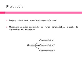 Pleiotropia 
 Do grego, pleion = mais numeroso e tropos = afinidade; 
 Mecanismo genético controlador de várias características a partir da 
expressão de um único gene; 
 