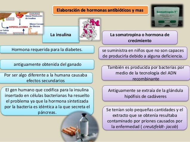Biotecnología y sus aplicaciones Biotecnología y sus aplicaciones