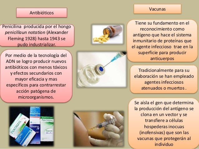 Biotecnología y sus aplicaciones