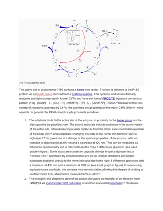 The P450 catalytic cycle
The active site of cytochrome P450 contains a heme iron center. The iron is tethered to the P450
protein via a thiolate ligand derived from a cysteine residue. This cysteine and several flanking
residues are highly conserved in known CYPs and have the formal PROSITE signature consensus
pattern [FW] - [SGNH] - x - [GD] - {F} - [RKHPT] - {P} - C - [LIVMFAP] - [GAD].[7]
Because of the vast
variety of reactions catalyzed by CYPs, the activities and properties of the many CYPs differ in many
aspects. In general, the P450 catalytic cycle proceeds as follows:
1. The substrate binds to the active site of the enzyme, in proximity to the heme group, on the
side opposite the peptide chain. The bound substrate induces a change in the conformation
of the active site, often displacing a water molecule from the distal axial coordination position
of the heme iron,[8]
and sometimes changing the state of the heme iron from low-spin to
high-spin.[9]
This gives rise to a change in the spectral properties of the enzyme, with an
increase in absorbance at 390 nm and a decrease at 420 nm. This can be measured by
difference spectrometry and is referred to as the "type I" difference spectrum (see inset
graph in figure). Some substrates cause an opposite change in spectral properties, a
"reverse type I" spectrum, by processes that are as yet unclear. Inhibitors and certain
substrates that bind directly to the heme iron give rise to the type II difference spectrum, with
a maximum at 430 nm and a minimum at 390 nm (see inset graph in figure). If no reducing
equivalents are available, this complex may remain stable, allowing the degree of binding to
be determined from absorbance measurements in vitro[10]
2. The change in the electronic state of the active site favors the transfer of an electron from
NAD(P)H via cytochrome P450 reductase or another associatedreductase.[11]
This takes
 