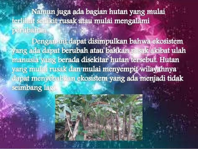 Observasi ekosistem