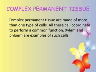 Complex permanent tissue are made of more
than one type of cells. All these cell coordinate
to perform a common function. Xylem and
phloem are examples of such cells.
 
