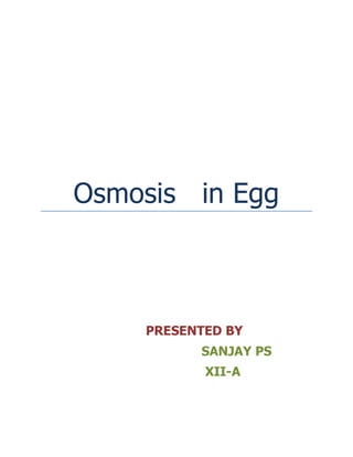 Osmosis in Egg
PRESENTED BY
SANJAY PS
XII-A
 