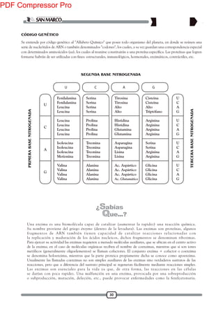 30
U C A G
PRIMERABASENITROGENADA
TERCERABASENITROGENADA
Serina
Serina
Serina
Serina
Prolina
Prolina
Prolina
Prolina
Treonina
Treonina
Treonina
Treonina
Alanina
Alanina
Alanina
Alanina
Fenilalanina
Fenilalanina
Leucina
Leucina
Leucina
Leucina
Leucina
Leucina
Isoleucina
Isoleucina
Isoleucina
Metionina
Valina
Valina
Valina
Valina
Tirosina
Tirosina
Alto
Alto
Histidina
Histidina
Glutamina
Glutamina
Asparagina
Asparagina
Lisina
Lisina
Ac. Aspártico
Ac. Aspártico
Ac. Aspártico
Ac. Glutamático
Cisteina
Cisteina
Alto
Triptófano
Arginina
Arginina
Arginina
Arginina
Serina
Serina
Arginina
Arginina
Glicina
Glicina
Glicina
Glicina
U
C
A
G
U
C
A
G
U
C
A
G
U
C
A
G
U
C
A
G
SEGUNDA BASE NITROGENADA
CÓDIGO GENÉTICO
Se entiende por código genético al "Alfabeto Químico" que posee todo organismo del planeta, en donde se reúnen una
serie de nucleótidos de ARN o también denominados "codones", los cuales, a su vez guardan una correspondencia especial
Una enzima es una biomolécula capaz de catalizar (aumentar la rapidez) una reacción química.
Su nombre proviene del griego énsymo (dentro de la levadura). Las enzimas son proteínas, algunos
fragmentos de ARN también tienen capacidad de catalizar reacciones relacionadas con
la replicación y maduración de los ácidos nucleicos, dichos fragmentos se denominan ribozimas.
Para ejercer su actividad las enzimas requieren a menudo moléculas auxiliares, que se ubican en el centro activo
de la enzima; en el caso de moléculas orgánicas reciben el nombre de coenzimas, mientras que si son iones
metálicos (generalmente oligoelementos) se llaman cofactores. El conjunto enzima + cofactor o coenzima
se denomina holoenzima, mientras que la parte proteica propiamente dicha se conoce como apoenzima.
Usualmente las llamadas coenzimas no son simples auxiliares de las enzimas sino verdaderos sustratos de las
reacciones, pero que a diferencia del sustrato principal se regeneran fácilmente mediante reacciones simples.
Las enzimas son esenciales para la vida ya que, de otra forma, las reacciones en las células
se darían con poca rapidez. Una malfunción en una enzima, provocada por una sobreproducción
o subproducción, mutación, deleción, etc., puede provocar enfermedades como la fenilcetonuria.
PDF Compressor Pro
 