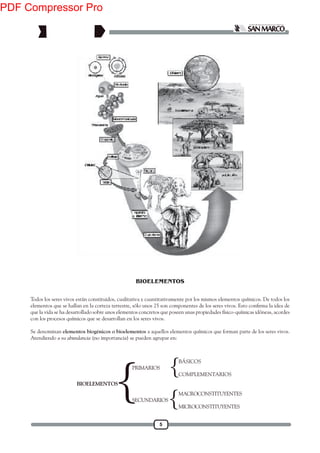 5
Todos los seres vivos están constituidos, cualitativa y cuantitativamente por los mismos elementos químicos. De todos los
que la vida se ha desarrollado sobre unos elementos concretos que poseen unas propiedades físico-químicas idóneas, acordes
con los procesos químicos que se desarrollan en los seres vivos.
Se denominan elementos biogénicos o bioelementos a aquellos elementos químicos que forman parte de los seres vivos.
Atendiendo a su abundancia (no importancia) se pueden agrupar en:
BÁSICOS
COMPLEMENTARIOS
MACROCONSTITUYENTES
MICROCONSTITUYENTES
PRIMARIOS
SECUNDARIOS
{
{
BIOELEMENTOS
{
BIOELEMENTOS
PDF Compressor Pro
 