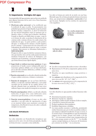 11
Las propiedades del agua permiten aprovechar esta molécula
para algunas funciones de los seres vivos. Estas funciones
son las siguientes:
 Disolvente polar universal: se ha establecido que
la molécula de agua es polar. Es precisamente esta
polaridad que presenta el agua líquida, la que le permite
disolver muchos compuestos, es decir la formación
de una mezcla homogénea entre la sustancia que se
disuelve, soluto, y el agua que la disuelve, disolvente.
Cuando se disuelve un sólido iónico en agua, como lo
es el cloruro de sodio, se produce la disociación de los
cationes sodio y aniones cloruro, los cuales atraen a las
moléculas de agua. La parte positiva o polo positivo
del agua es atraído por los aniones y el polo negativo
por los cationes. Consecuencia de esta atracción es el
rodeamiento de moléculas de agua en torno a cationes
y aniones. Este proceso se denomina hidratación o
SOLVATACIÓN.
El agua no sólo es capaz de disolver sustancias iónicas,
sino que muchas otras con las cuales puede interactuar
mediante formación de enlaces de hidrógeno, con
sustancias que lo permitan, o sustancias polares con las
que forma interacciones dipolo-dipolo.
 Lugar donde se realizan reacciones químicas: el agua
proporciona el medio acuoso indispensable para las
reacciones químicas debido a ser un buen disolvente,
por su elevada constante dieléctrica, y debido a su bajo
grado de ionización.
 Función estructural: por su elevada cohesión molecular,
 Función de transporte: por ser un buen disolvente,
debido a su elevada constante dieléctrica, y por poder
ascender por las paredes de un capilar, gracias a la
elevada cohesión entre sus moléculas, los seres vivos
utilizan el agua como medio de transporte en su interior.
 Función amortiguadora: debido a su elevada cohesión
molecular, el agua sirve como lubricante entre
estructuras que friccionan, y evita el rozamiento.
 Función termorreguladora: al tener un alto calor
específico y un alto calor de vaporización, el agua
es un material idóneo para mantener constante la
temperatura, absorbiendo el exceso de calor o cediendo
energía si es necesario.
4) Importancia biológica del agua
Las sales minerales son biomoléculas inorgánicas que
aparecen en los seres vivos de forma precipitada, disuelta
en forma de iones o asociada a otras moléculas.
LAS SALES MINERALES
Definición
La concha proporciona
protección y estructura a
la Vieira.
Los huesos están formados por
sales de calcio.
 Las sales se encuentran disociadas en iones o electrolitos.
 Representan el 1.5% de la composición química de los
seres vivos.
 Disueltas en agua manifiestan cargas positivas o
negativas.
 Los cationes más abundantes en la composición de los
seres vivos son Na+
, K+
, Ca2+
, Mg2+
...
 Los aniones más representativos en la composición de
los seres vivos son Cl-
, PO4
3-
, CO3
2-
...
Estructura
Las sales disueltas en agua pueden realizar funciones tales
como:
 Determinar la presión osmótica.
 Mantener el grado de salinidad.
 Amortiguar cambios de pH, mediante el efecto tampón.
 Controlar la contracción muscular.
 Producir gradientes electroquímicos.
 Estabilizar dispersiones coloidales.
 Los iones pueden asociarse a moléculas, permitiendo
realizar funciones que, por sí solos no podrían realizar, y
que tampoco realizaría la molécula a la que se asocia, si
no tuviera el ión. La hemoglobina es capaz de transportar
oxígeno por la sangre, porque está unida a un ión
Fe++
. Los citocromos actúan como transportadores de
electrones porque poseen un ión Fe+++
captura energía luminosa en el proceso de fotosíntesis
por contener un ión Mg++
en su estructura.
Funciones
Las sales se forman por unión de un ácido con una base,
liberando agua. En su forma precipitada forman estructuras
duras, que proporcionan estructura o protección al ser
que las posee. Ejemplos son las conchas, los caparazones
o los esqueletos.
PDF Compressor Pro
 