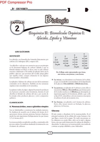 14
2 Bioquímica II: Biomoléculas Orgánicas I:
Glúcidos, Lípidos y Vitaminas
DEFINICIÓN
Los glúcidos son biomoléculas formadas básicamente por
carbono (C), hidrógeno (H) y oxígeno (O).
Los glúcidos o azúcares son sustancias que en un principio
se las denominó hidratos de carbono (debido a que su
fórmula mínima es CH2
O, es decir, como si cada carbono
estuviera «hidratado»). El nombre de glúcido deriva de la
palabra «glucosa» que proviene del vocablo griego glykos
que significa dulce, aunque solamente lo son algunos
monosacáridos y disacáridos.
Los glúcidos o hidratos de carbono son uno de los nutrientes
contenidos en los alimentos. También son las sustancias
orgánicas más extendidas en la naturaleza.
Las plantas verdes, las algas y algunas bacterias los producen
en el proceso conocido como fotosíntesis, durante el cual
absorben el dióxido de carbono del aire y, por acción de
la energía solar, producen glucosa y otros compuestos
químicos.
CLASIFICACIÓN
Son no hidrolizables y constituyen las unidades menores.
que poseen: triosas, tetrosas, pentosas, hexosas y heptosas,
siendo las más importantes biológicamente las que tienen
3, 5 y 6 átomos de C.
Los monosacáridos son glúcidos sencillos, constituidos sólo
por una cadena. Se nombran añadiendo la terminación -osa
al número de carbonos.
 Las triosas, son abundantes en el interior de la célula,
ya que son metabolitos intermediarios de la degradación
de la glucosa: Gliceraldehído y Dihidroxiacetona.
 Las pentosas, son glúcidos de 5 carbonos y entre ellos se
encuentran: Ribosa y Desoxirribosa, que forman parte
de los ácidos nucleicos y la Ribulosa que desempeña un
importante papel en la fotosíntesis, debido a que a ella
2
atmosférico y de esta manera se incorpora
el carbono al ciclo de la materia viva.
 Las hexosas, son glúcidos con 6 átomos de carbono.
Entre ellas tienen interés en biología, la glucosa,
galactosa y la fructosa.
En el dibujo están representados una triosa,
una tetrosa, una pentosa y una hexosa.
A. Monosacáridos, osas o glúsidos simples
LOS GLÚCIDOS
El más común y abundante de los monosacáridos. Es el
principal nutriente de las células del cuerpo humano a las
que llega a través de la sangre. No suele encontrarse en
los alimentos en estado libre, salvo en la miel y algunas
frutas, sino que suele formar parte de cadenas de almidón o
disacáridos. La glucosa es un monosacárido cuya molécula
contiene un grupo aldehído y cinco hidroxilos:
Glucosa
PDF Compressor Pro
 