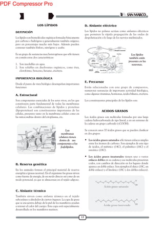 17
DEFINICIÓN
Loslípidossonbiomoléculas orgánicasformadasbásicamente
por carbono e hidrógeno y generalmente también oxígeno;
pero en porcentajes mucho más bajos. Además pueden
contener también fósforo, nitrógeno y azufre.
Es un grupo de sustancias muy heterogéneas que sólo tienen
en común estas dos características:
1. Son insolubles en agua.
2. Son solubles en disolventes orgánicos, como éter,
cloroformo, benceno, hexano, etcétera.
LOS LÍPIDOS
IMPORTANCIA BIOLÓGICA
Son componentes esenciales de los seres vivos, en los que
constituyen parte fundamental de todas las membranas
celulares. Las combinaciones de lípidos y proteínas
(lipoproteínas) son constituyentes importantes de las
células, presentes tanto en la membrana celular como en
las mitocondrias dentro del citoplasma, etc.
Desde el punto de vista biológico desempeñan importantes
funciones:
En los animales forman el principal material de reserva
energética (grasas neutras). En el organismo las grasas sirven
como fuente de energía, de un modo directo así como de un
modo potencial, ya que se almacenan en el tejido adiposo.
También sirven como aislante térmico en el tejido
subcutáneo y alrededor de ciertos órganos. La capa de grasa
que se encuentra debajo de la piel de los mamíferos ayudan
a retener el calor del cuerpo. Esta capa está especialmente
desarrollada en los mamíferos marinos.
Los lípidos no polares actúan como aislantes eléctricos
que permiten la rápida propagación de las ondas de
despolarización a lo largo de los nervios mielinizados.
Están relacionadas con este grupo de compuestos,
como algunas vitaminas, hormonas, ácidos biliares, etcétera.
Los constituyentes principales de los lípidos son:
Las
membranas
celulares tienen
dentro de sus
componentes a los
fosfolípidos.
Los lípidos
también están
presentes en las
neuronas.
ACIDOS GRASOS
Los ácidos grasos son moléculas formadas por una larga
cadena hidrocarbonada de tipo lineal, y en un extremo de
la cadena un grupo carboxilo (-COOH).
en dos grupos:
 Los ácidos grasos saturados sólo tienen enlaces simples
entre los átomos de carbono. Son ejemplos de este tipo
de ácidos, el mirístico (14C), el palmítico (16C) y el
esteárico (18C).
 Los ácidos grasos insaturados tienen uno o varios
enlaces dobles en su cadena y sus moléculas presentan
codos, con cambios de dirección en los lugares donde
aparece un doble enlace. Son ejemplos el oleico (18C, un
doble enlace) y el linoleico (18C y dos dobles enlaces).
A. Estructural
B. Reserva genética
C. Aislante térmico
D. Aislante eléctrico
E. Precursor
PDF Compressor Pro
 