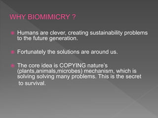  Humans are clever, creating sustainability problems
to the future generation.
 Fortunately the solutions are around us.
 The core idea is COPYING nature’s
(plants,animals,microbes) mechanism, which is
solving solving many problems. This is the secret
to survival.
 