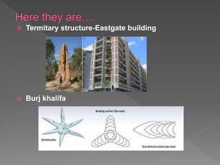  Termitary structure-Eastgate building
 Burj khalifa
 