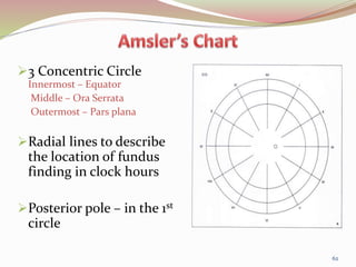 3 Concentric Circle
Innermost – Equator
Middle – Ora Serrata
Outermost – Pars plana
Radial lines to describe
the location of fundus
finding in clock hours
Posterior pole – in the 1st
circle
62
 