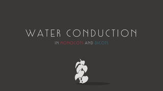 WATER CONDUCTION
IN MONOCOTS AND DICOTS
 