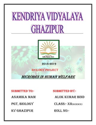 BIOLOGY
MICROBES IN HUMAN WELFARE
SUBMITTED TO:-
ANAMIKA MAM
PGT, BIOLOGY
KV GHAZIPUR
2018-2019
BIOLOGY PROJECT
MICROBES IN HUMAN WELFARE
SUBMITTED BY
ANAMIKA MAM ALOK KUMAR BIND
CLASS:- XII
ROLL NO:-
MICROBES IN HUMAN WELFARE
SUBMITTED BY:-
ALOK KUMAR BIND
XII(SCIENCE)
 