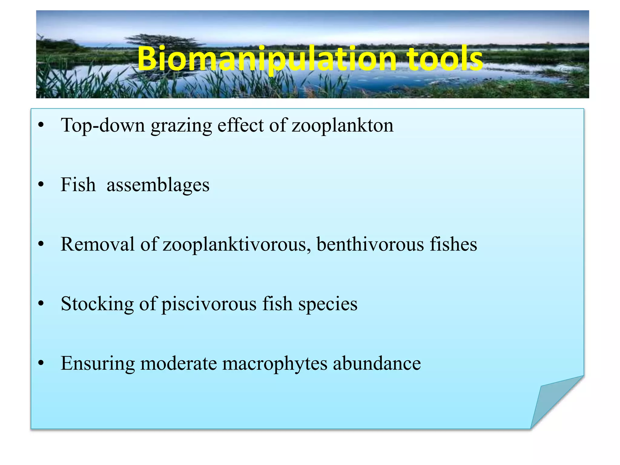 Biomanipulation tools
• Top-down grazing effect of zooplankton
• Fish assemblages
• Removal of zooplanktivorous, benthivorous fishes
• Stocking of piscivorous fish species
• Ensuring moderate macrophytes abundance
 