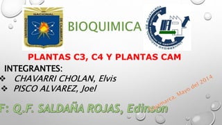 PLANTAS C3, C4 Y PLANTAS CAM
INTEGRANTES:
 CHAVARRI CHOLAN, Elvis
 PISCO ALVAREZ, Joel
 
