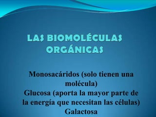 Monosacáridos (solo tienen una
molécula)
Glucosa (aporta la mayor parte de
la energía que necesitan las células)
Galactosa
 