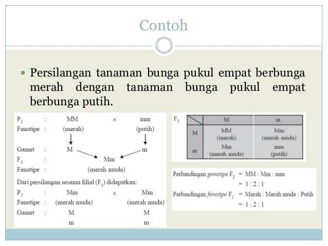 Contoh Soal Dihibrid