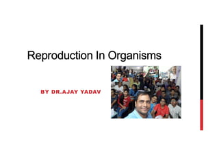 Reproduction In Organisms
BY DR.AJAY YADAV
 