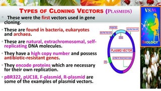 Vector Examples Microbiology Bio. tech. pr.& process | PDF