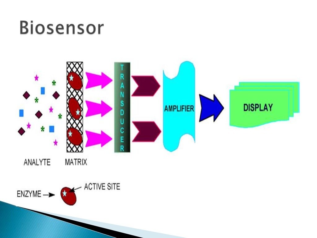 Bio catalysis based bio sensor seminor