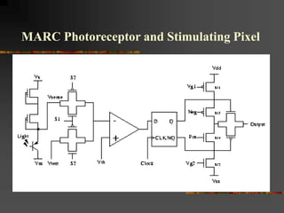 MARC Photoreceptor and Stimulating Pixel
 