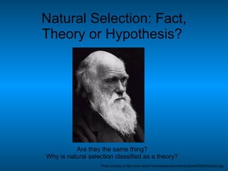 Natural Selection: Fact, Theory or Hypothesis?  Are they the same thing? Why is natural selection classified as a theory? Photo courtesy of http://www.darwin.ie/wordpress/wp-content/uploads/2008/02/darwin.jpg 