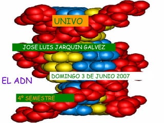 JOSE LUIS JARQUIN GALVEZ EL ADN UNIVO DOMINGO 3 DE JUNIO 2007 4º SEMESTRE 