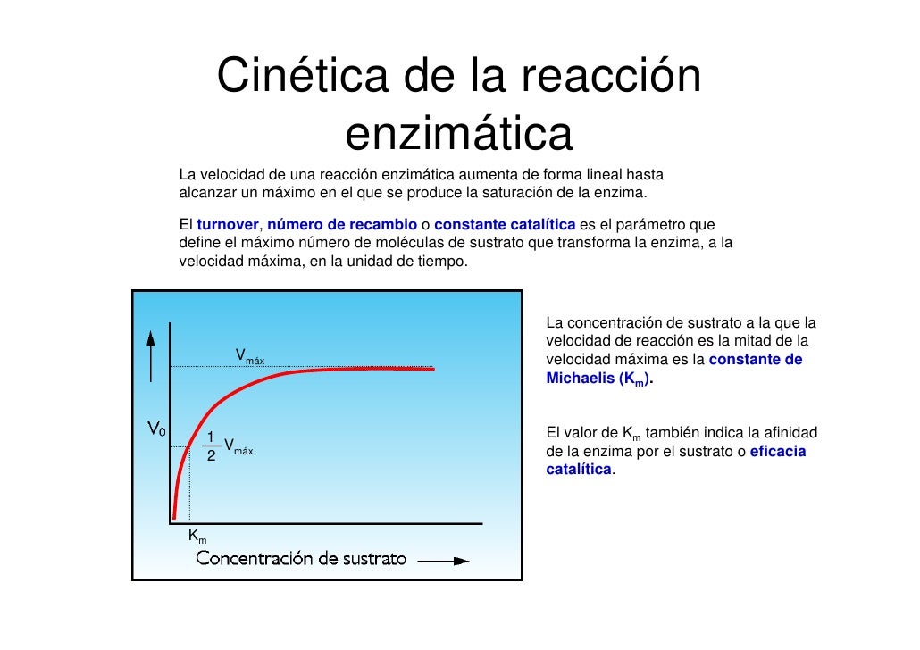 Bio2 6 Enzimas Bio2 6 Enzimas
