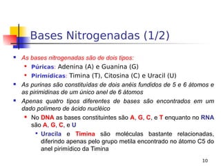 10
Bases Nitrogenadas (1/2)
 As bases nitrogenadas são de dois tipos:

Púricas: Adenina (A) e Guanina (G)

Pirimídicas: Timina (T), Citosina (C) e Uracil (U)
 As purinas são constituídas de dois anéis fundidos de 5 e 6 átomos e
as pirimidinas de um único anel de 6 átomos
 Apenas quatro tipos diferentes de bases são encontrados em um
dado polímero de ácido nucléico
 No DNA as bases constituintes são A, G, C, e T enquanto no RNA
são A, G, C, e U

Uracila e Timina são moléculas bastante relacionadas,
diferindo apenas pelo grupo metila encontrado no átomo C5 do
anel pirimídico da Timina
 