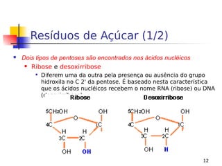 12
Resíduos de Açúcar (1/2)
 Dois tipos de pentoses são encontrados nos ácidos nucléicos
 Ribose e desoxirribose

Diferem uma da outra pela presença ou ausência do grupo
hidroxila no C 2' da pentose. É baseado nesta característica
que os ácidos nucléicos recebem o nome RNA (ribose) ou DNA
(desoxirribose)
 