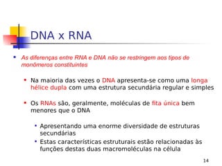 14
DNA x RNA
 As diferenças entre RNA e DNA não se restringem aos tipos de
monômeros constituintes
 Na maioria das vezes o DNA apresenta-se como uma longa
hélice dupla com uma estrutura secundária regular e simples
 Os RNAs são, geralmente, moléculas de fita única bem
menores que o DNA

Apresentando uma enorme diversidade de estruturas
secundárias

Estas características estruturais estão relacionadas às
funções destas duas macromoléculas na célula
 