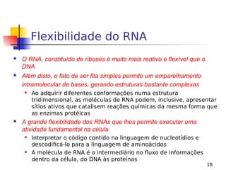 18
Flexibilidade do RNA
 O RNA, constituído de riboses é muito mais reativo e flexível que o
DNA
 Além disto, o fato de ser fita simples permite um emparelhamento
intramolecular de bases, gerando estruturas bastante complexas
 Ao adquirir diferentes conformações numa estrutura
tridimensional, as moléculas de RNA podem, inclusive, apresentar
sítios ativos que catalisem reações químicas da mesma forma que
as enzimas protéicas
 A grande flexibilidade dos RNAs que lhes permite executar uma
atividade fundamental na célula
 Interpretar o código contido na linguagem de nucleotídios e
descodificá-lo para a linguagem de aminoácidos
 A molécula de RNA é o intermediário no fluxo de informações
dentro da célula, do DNA às proteínas
 