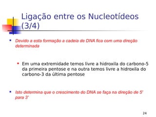 24
Ligação entre os Nucleotídeos
(3/4)
 Devido a esta formação a cadeia de DNA fica com uma direção
determinada
 Em uma extremidade temos livre a hidroxila do carbono-5
da primeira pentose e na outra temos livre a hidroxila do
carbono-3 da última pentose
 Isto determina que o crescimento do DNA se faça na direção de 5'
para 3'
 