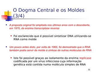 31
O Dogma Central e os Moldes
(3/4)
 A proposta original foi ampliada nos últimos anos com a descoberta,
em 1970, da enzima transcriptase reversa
 Foi esclarecido que é possível sintetizar DNA utilizando-se
RNA como molde
 Um pouco antes disto, por volta de 1965, foi demostrado que o RNA
também podia servir de molde à síntese de outras moléculas de RNA
 Isto foi possível graças ao isolamento da enzima replicase
codificada por um vírus infeccioso cuja informação
genética está contida numa molécula simples de RNA
 