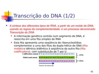 42
Transcrição do DNA (1/2)
 A síntese dos diferentes tipos de RNA, a partir de um molde de DNA,
usando as regras da complementaridade, é um processo denominado
Transcrição do DNA
 A informação genética contida num segmento do DNA, é
reescrita em uma fita simples de RNA
 Esta fita apresenta uma seqüência de ribonucleotídios
complementar a uma das fitas da dupla hélice de DNA (fita
molde) e idêntica àidêntica à seqüência da outra fita (fita
codificadora), com substituição de T por U
 