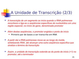 45
A Unidade de Transcrição (2/3)
 A transcrição de um segmento se inicia quando a RNA polimerase
reconhece e liga-se a seqüências específicas de nucleotídios em uma
região especial, no início do gene, denominada promotor
 Além destas seqüências, o promotor engloba o ponto de início
 Primeiro par de bases a ser transcrito em RNA
 A partir daí a RNA polimerase move-se ao longo do molde,
sintetizando RNA, até alcançar uma outra seqüência específica que
sinaliza o término da transcrição
 Assim, a unidade de transcrição estende-se do ponto de início (+1) no
promotor, até o terminador
 