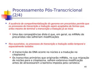 49
Processamento Pós-Transcricional
(2/4)
 A ausência de compartimentalização do genoma em procariotos permite que
os processos de transcrição e tradução sejam acoplados de formas que,
antes mesmo de terminar a transcrição a tradução já se inicia
 Uma das conseqüências disto é que, em geral, os mRNAs de
procariotos não sofreriam modificações
 Nos eucariotos, os processos de transcrição e tradução estão temporal e
espacialmente isolados
 A transcrição do DNA ocorre no núcleo e a tradução no
citoplasma
 Os transcritos primários que originarão mRNAs, na sua migração
do núcleo para o citoplasma, sofrem extensiva modificação
antes de atravessarem a barreira imposta pela carioteca
 