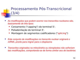 50
Processamento Pós-Transcricional
(3/4)
 As modificações que podem ocorrer nos transcritos nucleares são,
basicamente de três tipos:
 Coroamento ("capping") do terminal 5';
 Poliadenilação do terminal 3';
 Montagem de segmentos codificadores ("splicing")
 Este conjunto de modificações no transcrito nuclear originará o
mRNA, pronto para migrar para o citoplasma
 Transcritos originados na mitocôndria ou cloroplastos não sofreriam
tais modificações, comportando-se de forma similar aos de bactérias
 