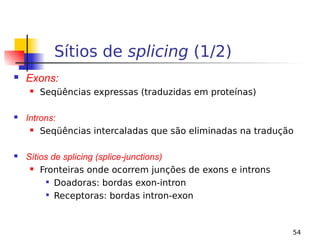 54
Sítios de splicing (1/2)
 Exons:
 Seqüências expressas (traduzidas em proteínas)
 Introns:
 Seqüências intercaladas que são eliminadas na tradução
 Sítios de splicing (splice-junctions)
 Fronteiras onde ocorrem junções de exons e introns

Doadoras: bordas exon-intron

Receptoras: bordas intron-exon
 