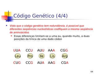 64
Código Genético (4/4)
 Visto que o código genético tem redundância, é possível que
diferentes seqüências nucleotídicas codifiquem a mesma seqüência
de aminoácidos
 Essas diferenças limitam-se a uma ou, quando muito, a duas
posições da trinca de uma dado códon
Leu Pro Arg
Lis
Ile
UUA CCU AUU AAA CGG
CUG CCG AUA AAG CGA
 