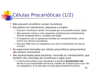 66
Células Procarióticas (1/2)
 Não possuem envoltório nuclear (carioteca)
 São pobres em membranas, pequenas e simples
 Possuem membrana celular circundada por uma parede celular rígida
 Não possuem núcleo e nem organelas membranosas (mitocôndrias,
retículo endoplasmático, complexo de Golgi).
 O citoplasma não se apresenta dividido em compartimentos, como
ocorre nas células eucarióticas
 Possuem DNA livre no citoplasma (um único cromossomo em forma
circular)
 Os organismos formados por células procarióticas (procariontes)
são sempre unicelulares
 São representadas pelas bactérias, incluindo as cianobactérias, que
também são chamadas de cianofíceas e algas azuis
 A célula procariótica mais estudada é a bactéria Escherichia coli,
devido à sua simplicidade estrutural, rapidez de multiplicação e por não
ser patogênica. É encontrada no trato gastrointestinal humano
 