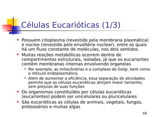 68
Células Eucarióticas (1/3)
 Possuem citoplasma (revestido pela membrana plasmática)
e núcleo (revestido pelo envoltório nuclear), entre os quais
há um fluxo constante de moléculas, nos dois sentidos.
 Muitas reações metabólicas ocorrem dentro de
compartimentos estruturais, isoladas, já que os eucariontes
contêm membranas internas envolvendo organelas

Por exemplo, as mitocôndrias e o complexo de Golgi, bem como
o retículo endoplasmático.

Além de aumentar a eficiência, essa separação de atividades
permite que as células eucarióticas atinjam maior tamanho,
sem prejuízo de suas funções
 Os organismos constituídos por células eucarióticas
(eucariontes) podem ser unicelulares ou pluricelulares
 São eucarióticas as células de animais, vegetais, fungos,
protozoários e muitas algas
 